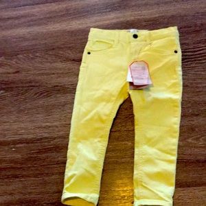 Zara Denim Collection